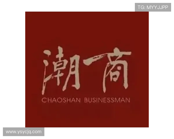 潮汕企业家群体的崛起与影响力探析：从传统商帮到现代经济巨头的转型之路